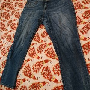 Kut From the Kloth Catherine Boyfriend 16w